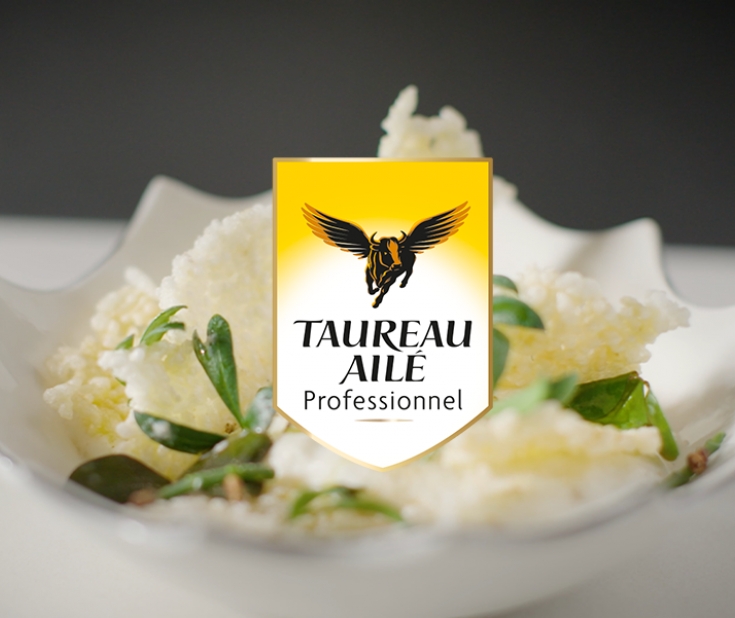 # TAUREAU AILÉ