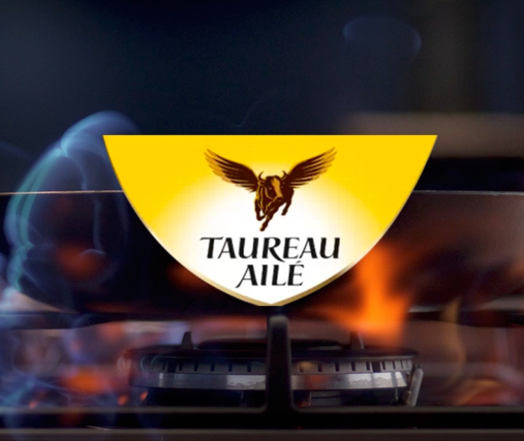 # TAUREAU AILE